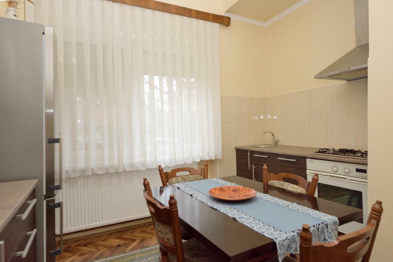 Apartman Vila Milica Kikinda Buitenkant foto